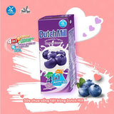 Dutch Mill Yoghurt Drink Blueberry Flavour - 180ml