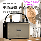 Booms Bass Stereo Outdoor Karaoke With 2 Microphones - M4202+
