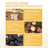 South Moon Ganoderma Nutrient Anti-Greying Hair Serum - 30ml