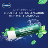 Vaseline Lip Therapy Stick Mint - 4.8g