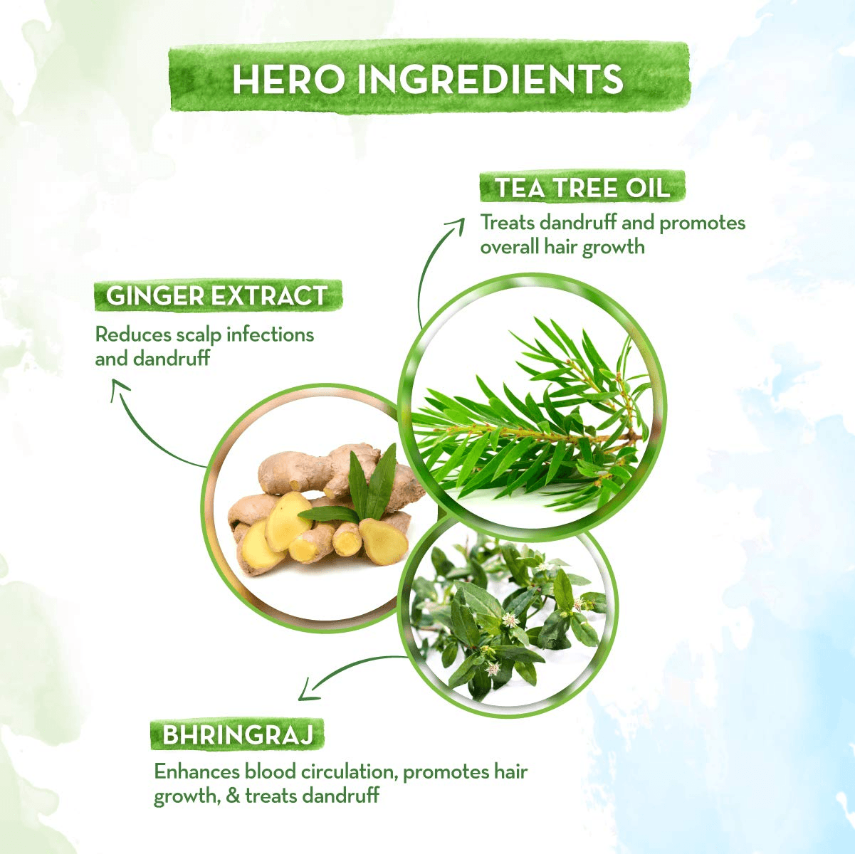 Mamaearth Tea Tree Anti Dandruff Hair Oil With Ginger - 250ml