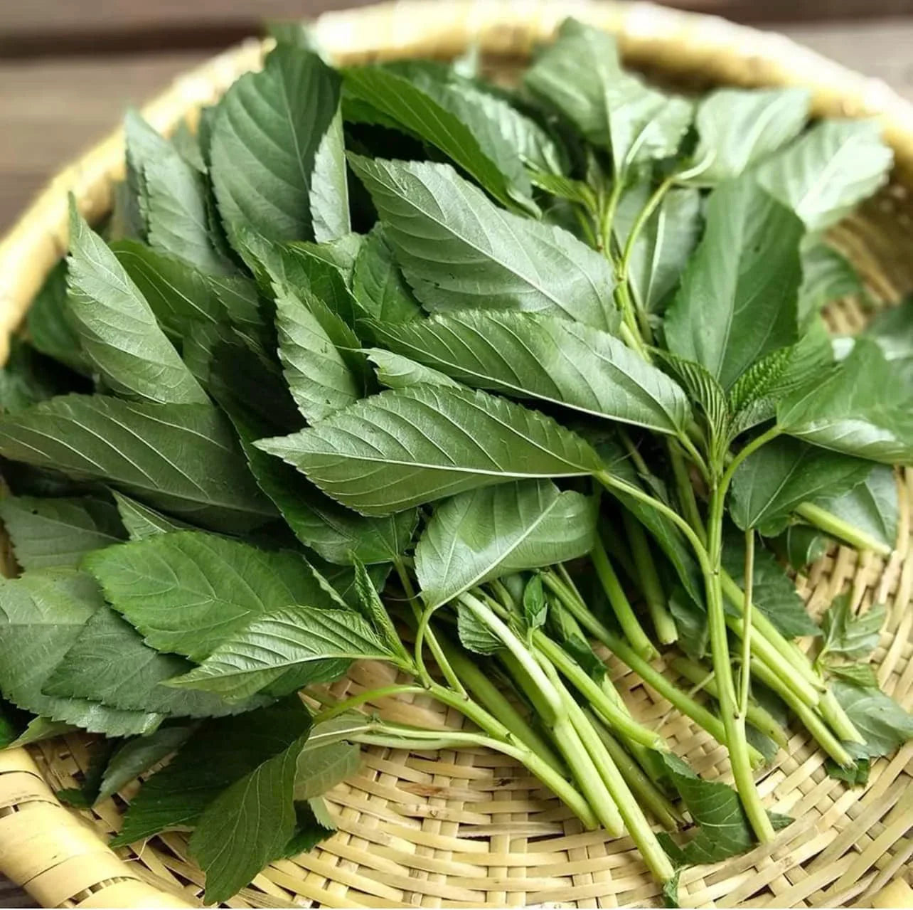 Molokhia Leaves (Saluyot)