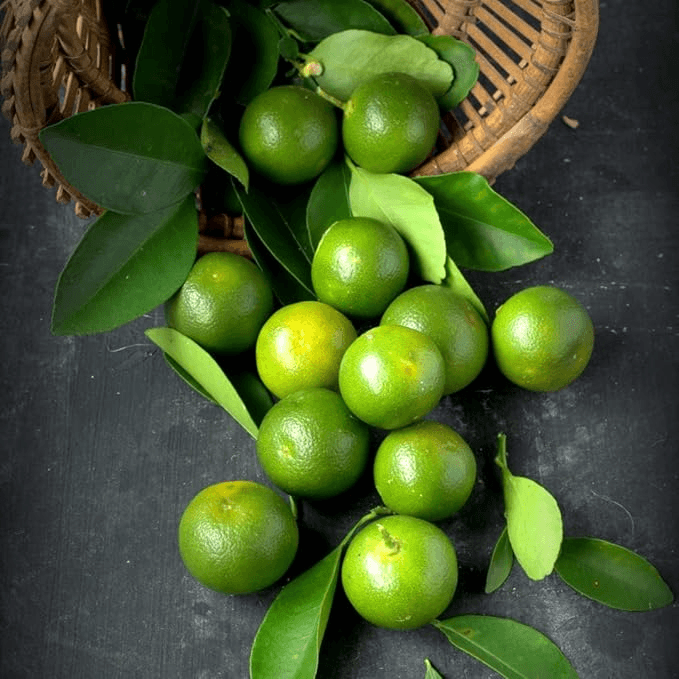Good Sense Real Squeezed Calamansi Extract - 150ml
