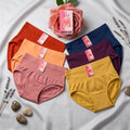 High Waisted Elastic Briefs Underwear Seamless Comfort - DBZ34