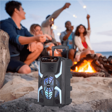 Saeapu Big Sound Portable Wireless Speaker 8" TTD-8258