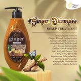 MerrySun Anti-hair Loss Ginger Shampoo - 400ml