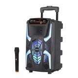 Saeapu Big Sound Portable Wireless Speaker 8" TTD-8258