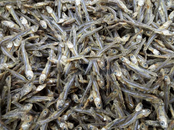 أنشوجة مجففة (دليس) - 100 جم