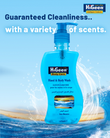 HiGeen Antiseptic Sea Breeze Hand & Body Wash - 500ml