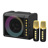 Powerful Bass Boost Portable Karaoke Speaker With Two Microphone T-203