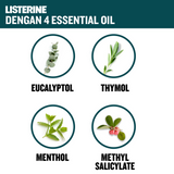 Listerine Zero Antiseptic Mouthwash - 500ml