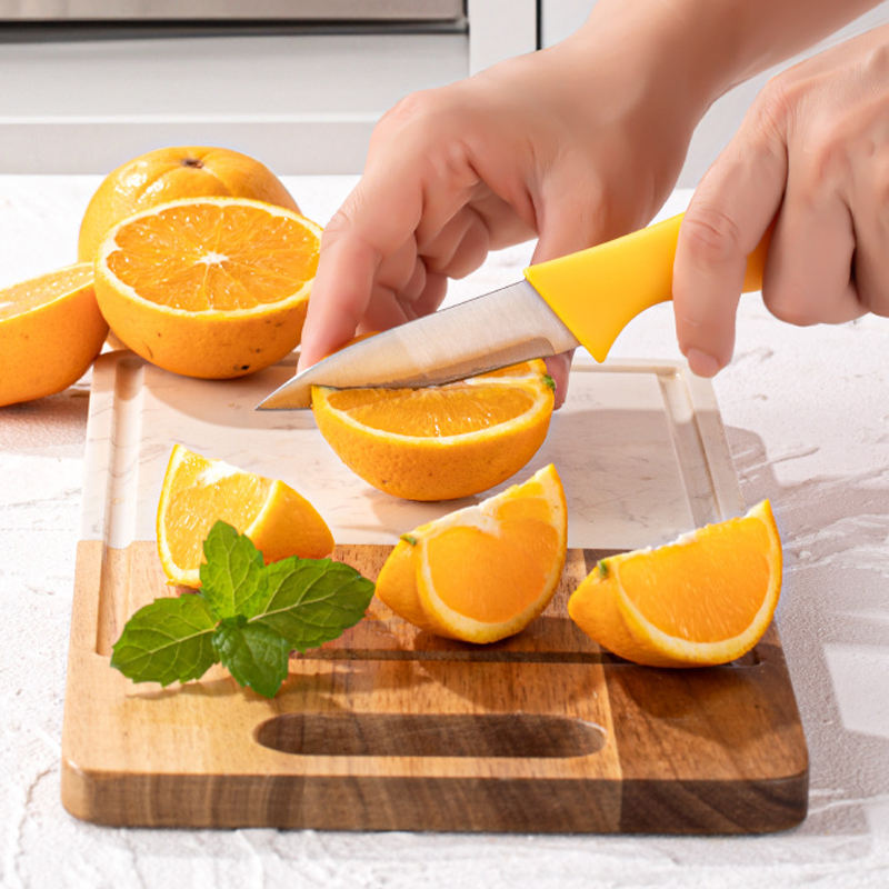Kitchen Knife Set With Blade Cover - 5 Pcs Set (YHWX04)