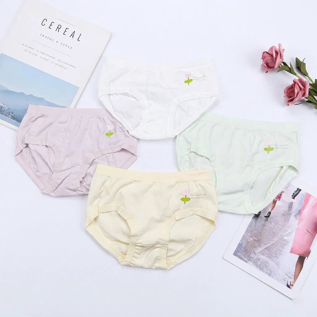 Women's Breathable Cotton Briefs 3Pcs Set #2531