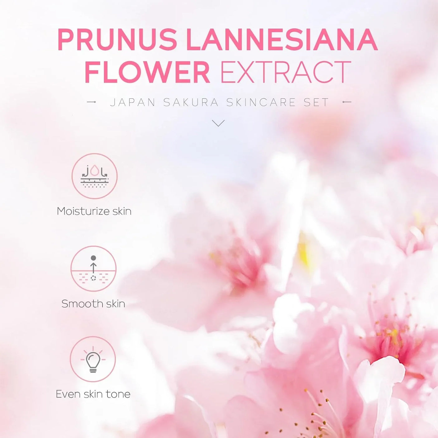 Laikou Japan Sakura Skin Care 5Pcs Set