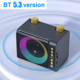 Powerful Bass Boost Portable Karaoke Speaker With Two Microphone T-203