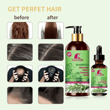 Roushun Rosemary Mint Hair Shampoo & Hair Oil - 500ml + 60ml (Combo)