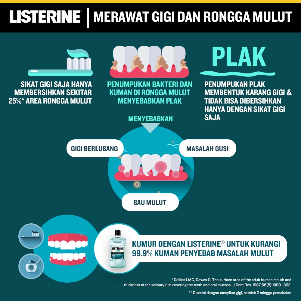Listerine Zero Antiseptic Mouthwash - 500ml