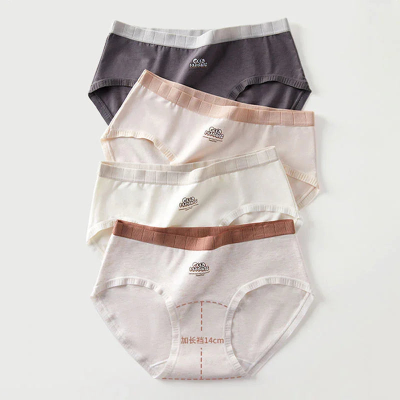 Women's Antibacterial Breathable Cotton Briefs 3Pcs Set #E3075