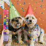 Celebration Party Popper - 10 Inch