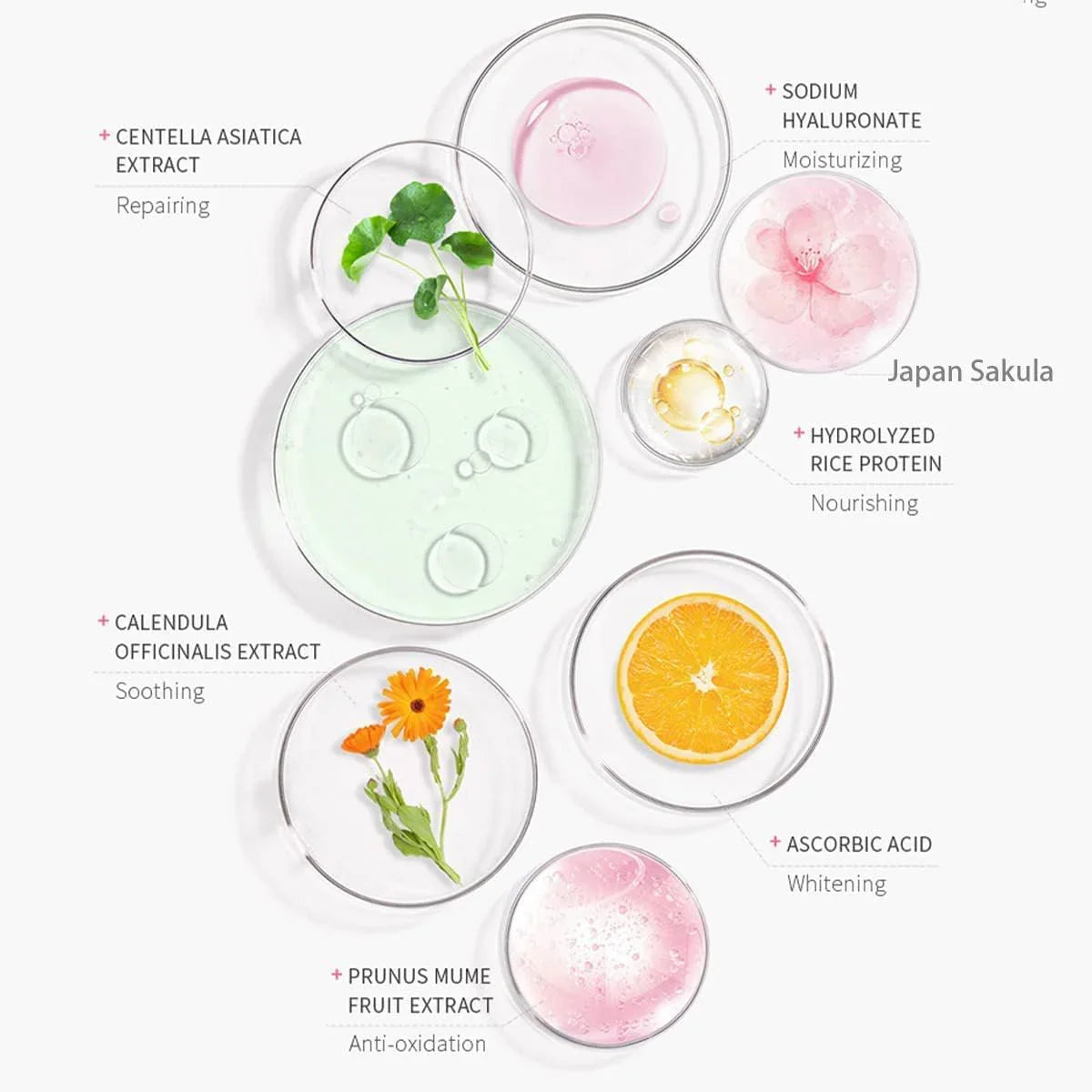 Laikou Japan Sakura Brightening Sunscreen SPF50 PA+++ - 50g