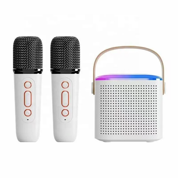 Wireless Portable Karaoke Machine With Dual Microphone - Y1