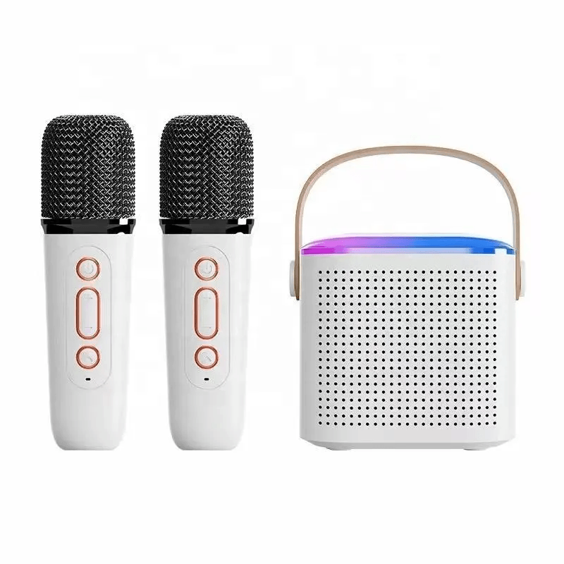 Wireless Portable Karaoke Machine With Dual Microphone - Y1
