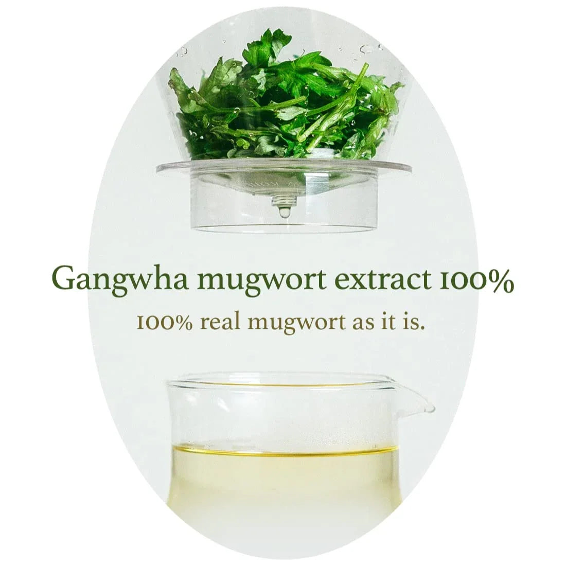 I'm From Mugwort Mask - 30g