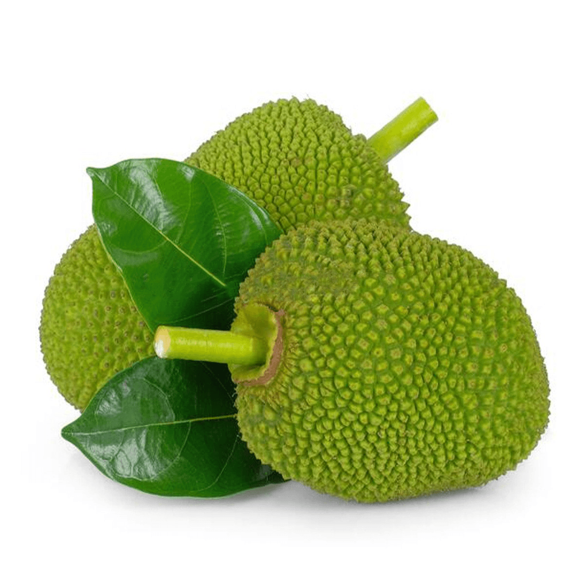 Polos (Baby Jackfruit) - 750-900gm