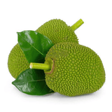 Polos (Baby Jackfruit) - 750-900gm