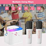 Wireless Portable Karaoke Machine With Dual Microphone - Y1