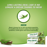 Dabur Herbal Neem Toothpaste With Tooth Brush Free - 150g