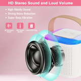 Wireless Portable Karaoke Machine With Dual Microphone - Y1
