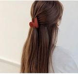 مشبك فك ومخالب للنساء مقاس متوسط - 6 قطع (C05)