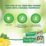 Dabur Herbal Intense Fresh Gel Toothpaste With Tooth Brush Free - 150g × 2 Pcs (Offer)
