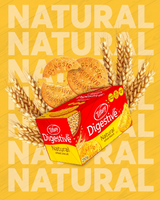 Tiffany Digestive Natural Wheat Biscuit - 250g