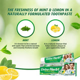 Dabur Herbal Intense Fresh Gel Toothpaste With Tooth Brush Free - 150g × 2 Pcs (Offer)