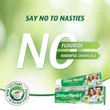Dabur Herbal Intense Fresh Gel Toothpaste With Tooth Brush Free - 150g × 2 Pcs (Offer)