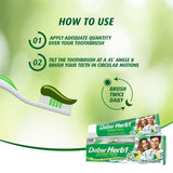 Dabur Herbal Intense Fresh Gel Toothpaste With Tooth Brush Free - 150g × 2 Pcs (Offer)