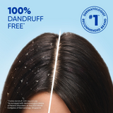 Head & Shoulders Menthol Fresh Anti-Dandruff Shampoo - 350ml+190ml