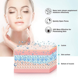 Osenjie Professional Facial Steamer BY-1278