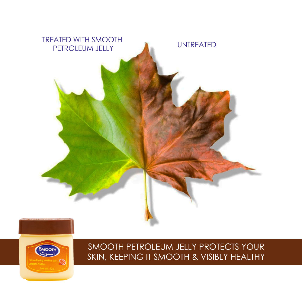 Smooth Cocoa Butter Petroleum Jelly - 368g + 100g