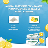 Dabur Herbal Brightening Salt & Lemon Toothpaste With Tooth Brush Free - 150g