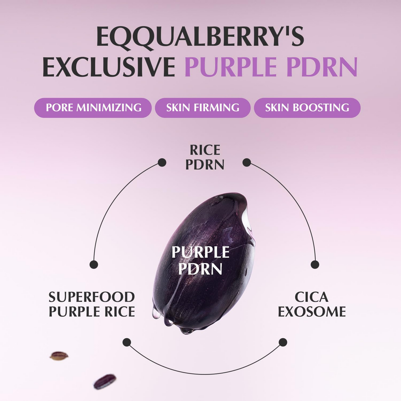 Eqqualberry Purple PDRN Pore Minimizing Serum - 30ml