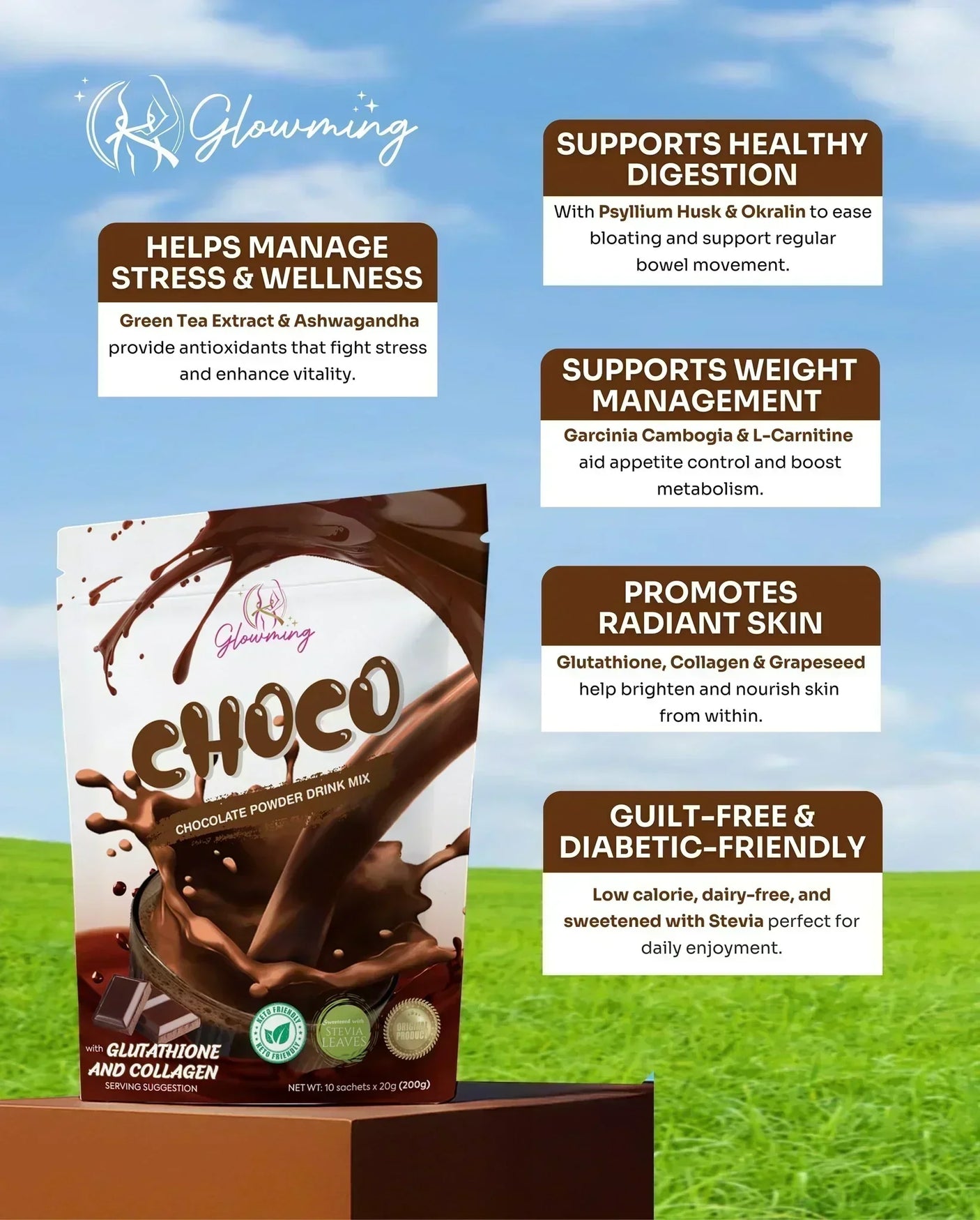 Glowming Choco Powder Drink Mix - 10 Sachets x 20g