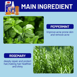 Disaar Lice Repellent Spray With Mint & Rosemary - 120ml