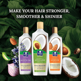 Parachute Advansed Coconut & Avocado Daily Moisture Shampoo - 340ml