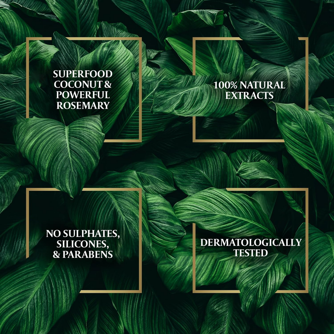 Parachute Advansed Rosemary Coconut Hair Oil - 200ml