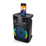 Sing-e Multimedia 8 Inch Party Super Bass Speaker - ZQS8145