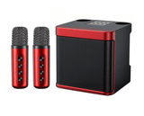 مكبر صوت كاريوكي لاسلكي مزود بميكروفونين KD-203