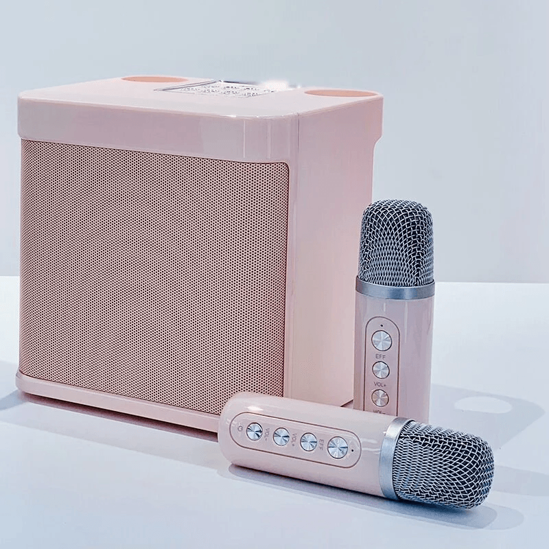 مكبر صوت كاريوكي لاسلكي مزود بميكروفونين KD-203